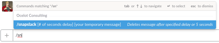Snapslack Slash Command