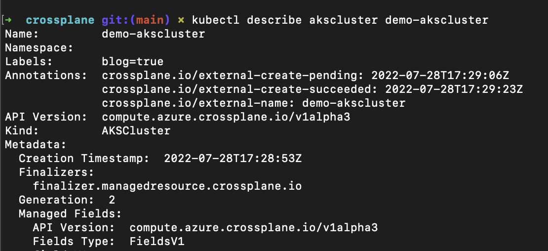 "Using kubectl to describe the AKS Cluster"